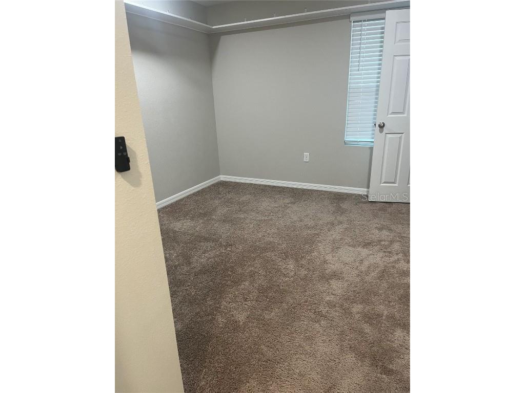 34209 Scarlet Sage Wesley Chapel FL 33545 TB8445733 image31