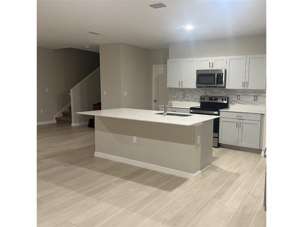 34209 Scarlet Sage Wesley Chapel FL 33545 TB8445733 image8