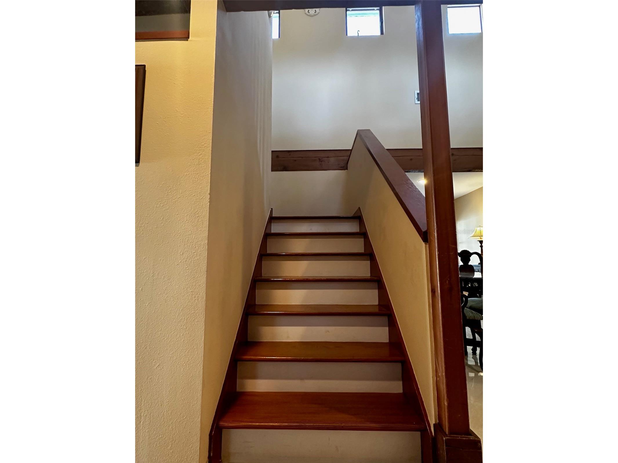 3421 Brian Road S Palm Harbor FL 34685 TB8496011 image36