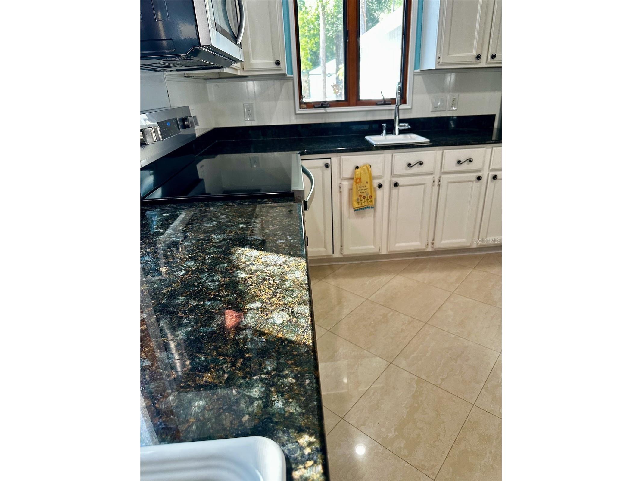3421 Brian Road S Palm Harbor FL 34685 TB8496011 image9