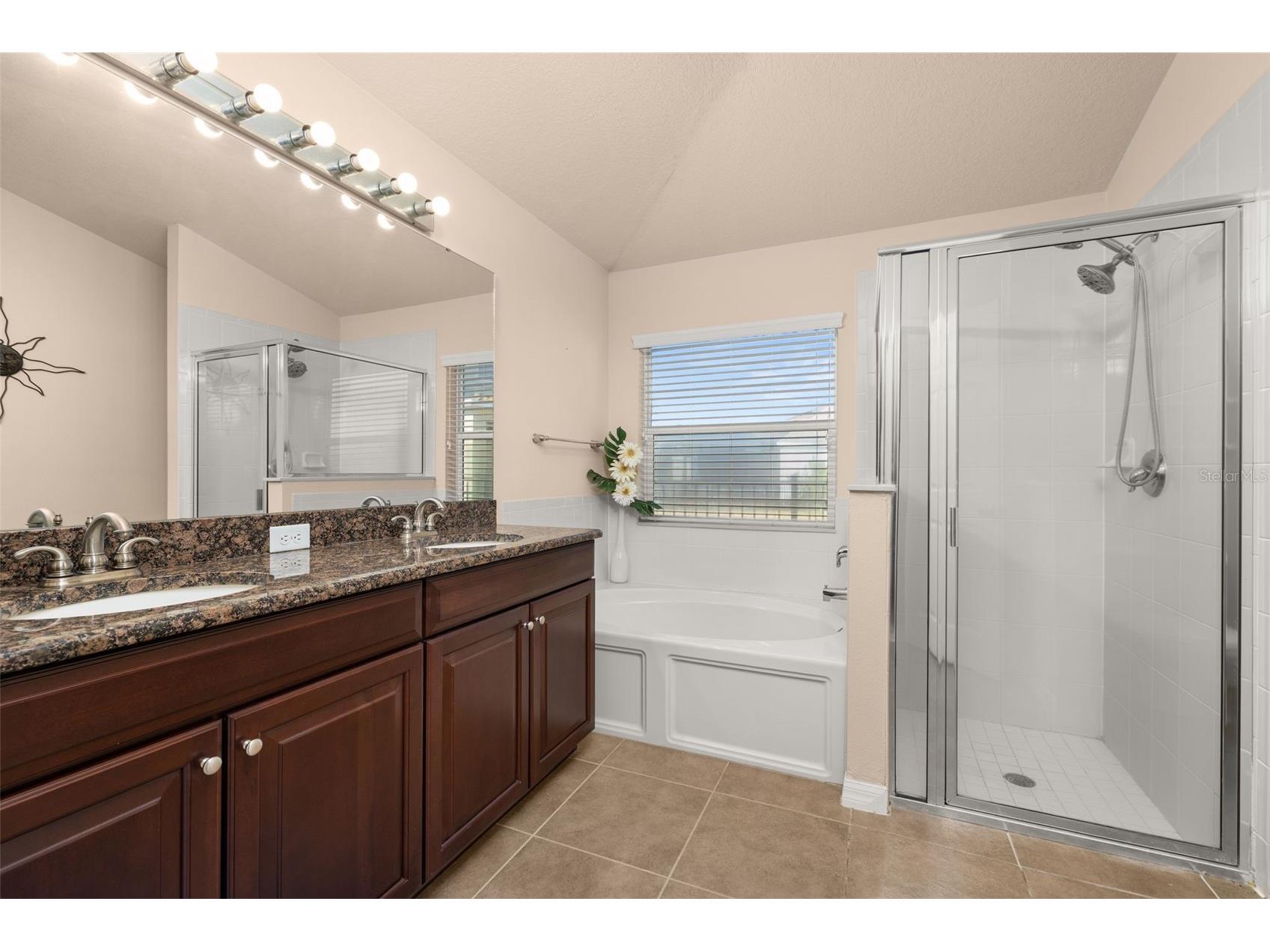 3421 Cortland Drive Davenport FL 33837 S5143107 image18