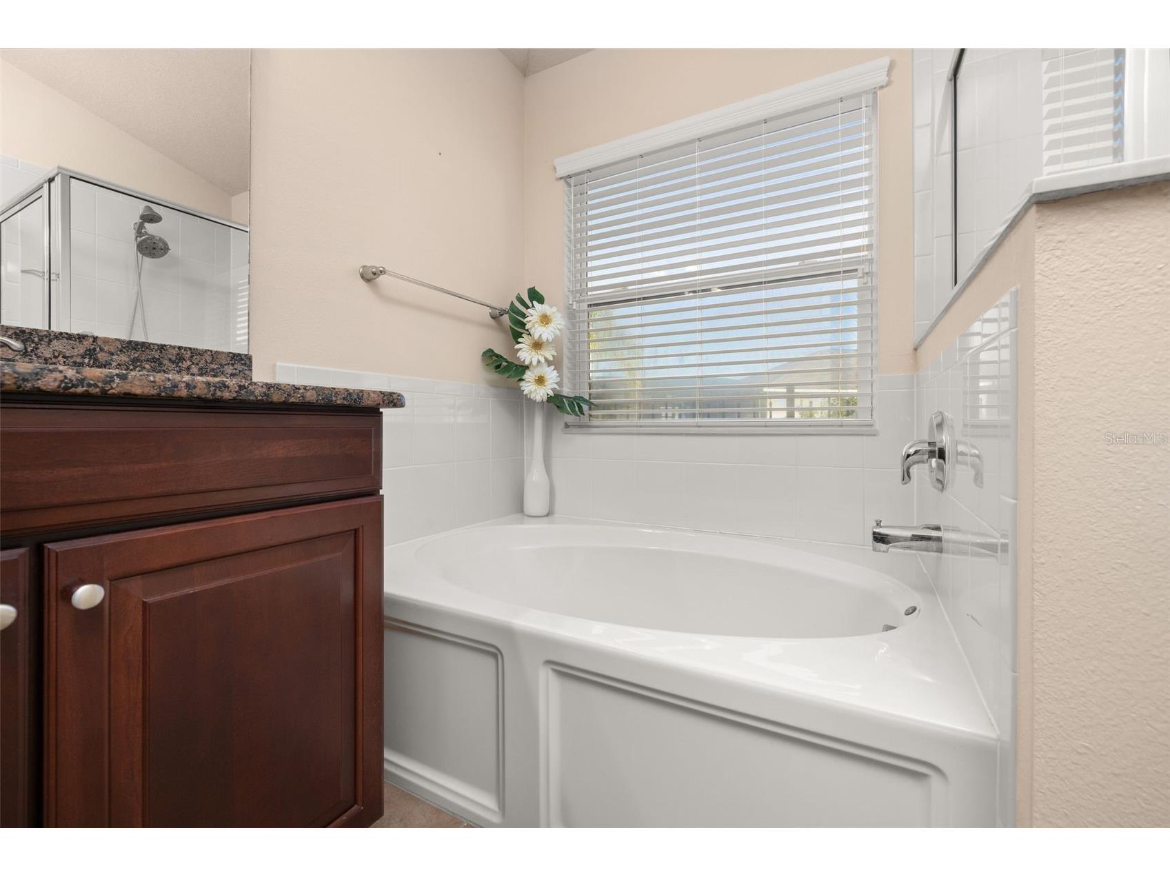 3421 Cortland Drive Davenport FL 33837 S5143107 image19