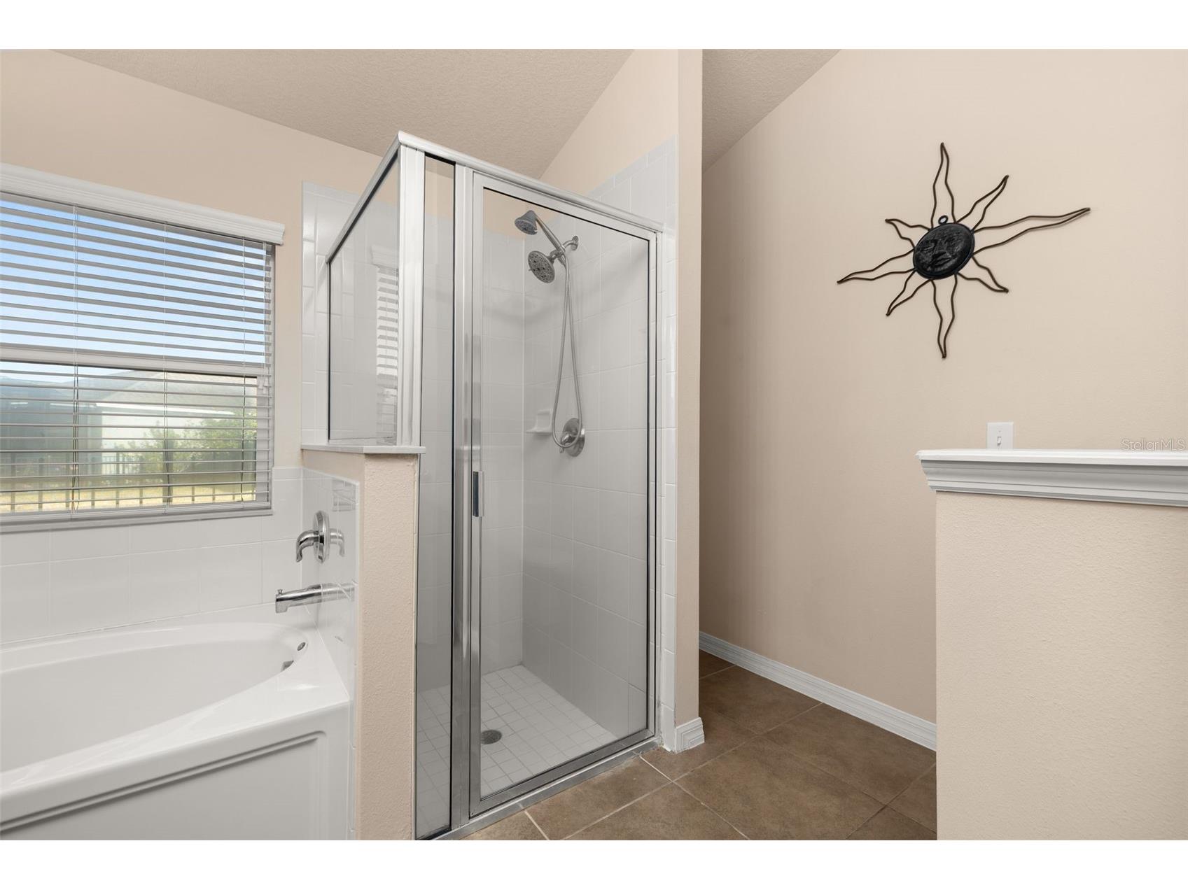 3421 Cortland Drive Davenport FL 33837 S5143107 image20