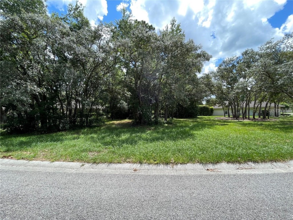 3421 N Bent Tree Point Lecanto FL 34461 O6179443 image1
