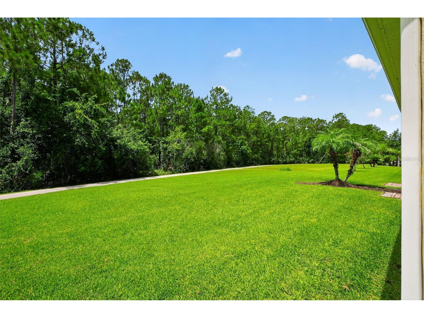 3421 Torre Boulevard New Smyrna Beach FL 32168 V4950231 image48