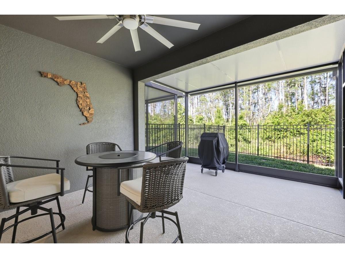 3421 Twin Flower Clermont FL 34714 O6400931 image31