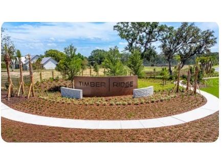 3421 Walnut Round Place Plant City FL 33565 TB8498140 image23