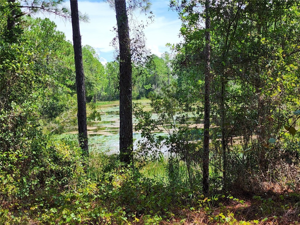 34210 Berryhill Drive Webster FL 33597 - LAKE LONG G5060400 image1