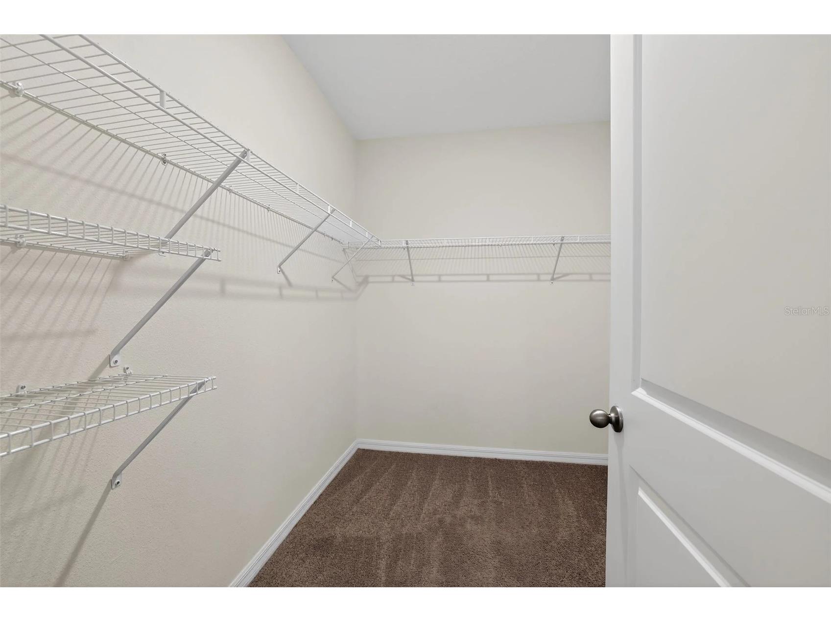 34211 Jasper Stone Drive Wesley Chapel FL 33543 A4688864 image18