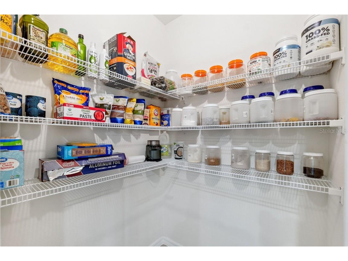 34211 Jasper Stone Drive Wesley Chapel FL 33543 TB8410639 image11