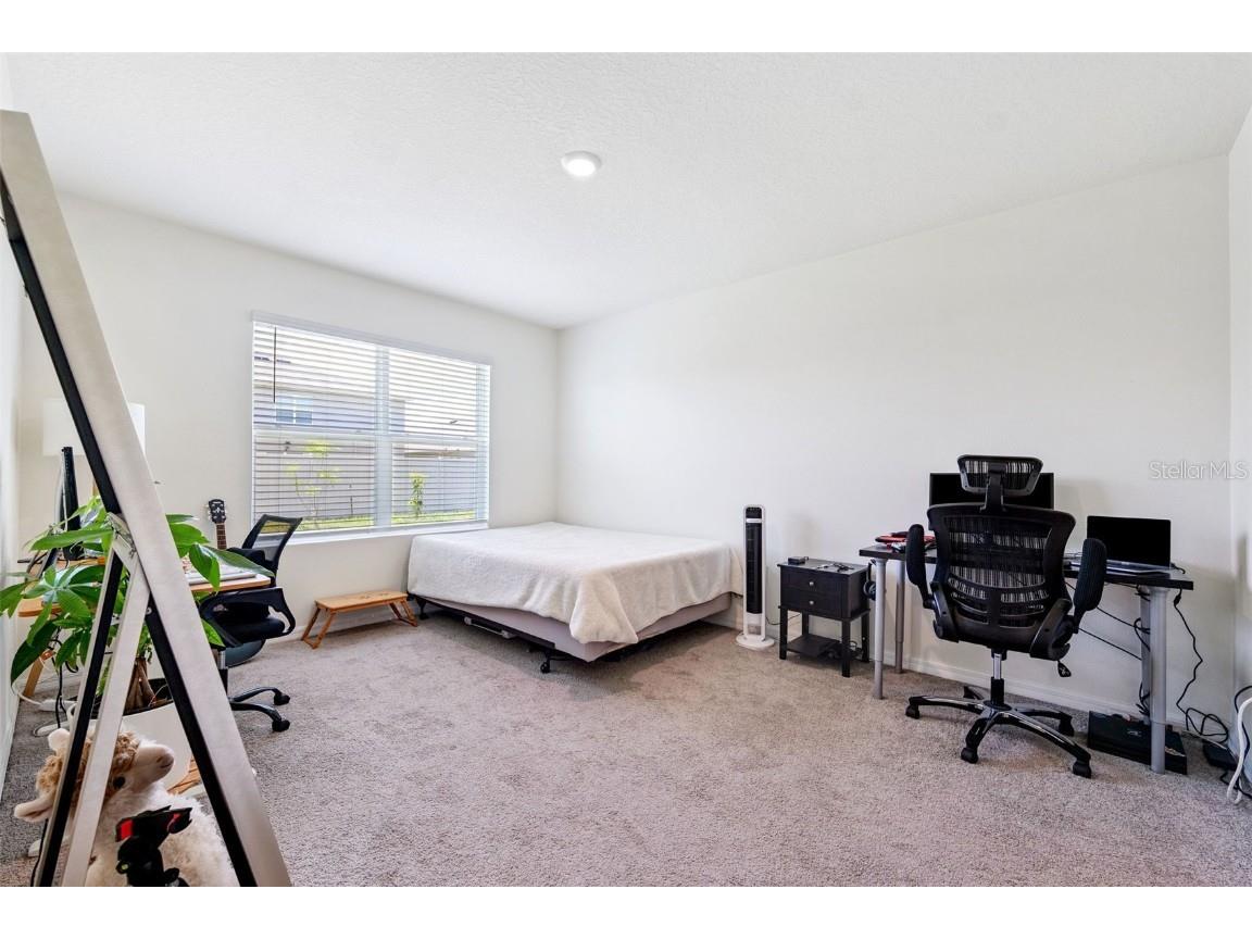 34211 Jasper Stone Drive Wesley Chapel FL 33543 TB8410639 image18