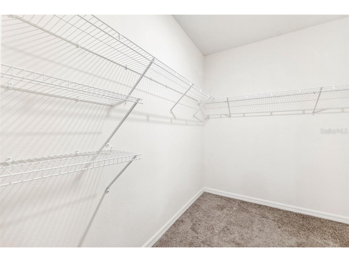 34211 Jasper Stone Drive Wesley Chapel FL 33543 TB8410639 image20