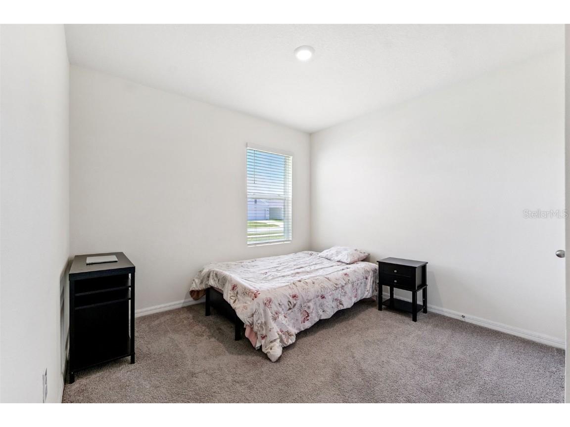 34211 Jasper Stone Drive Wesley Chapel FL 33543 TB8410639 image22