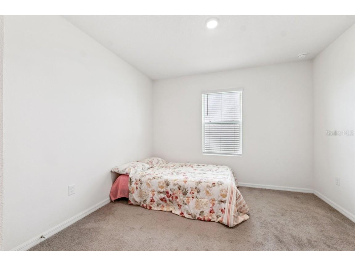 34211 Jasper Stone Drive Wesley Chapel FL 33543 TB8410639 image23