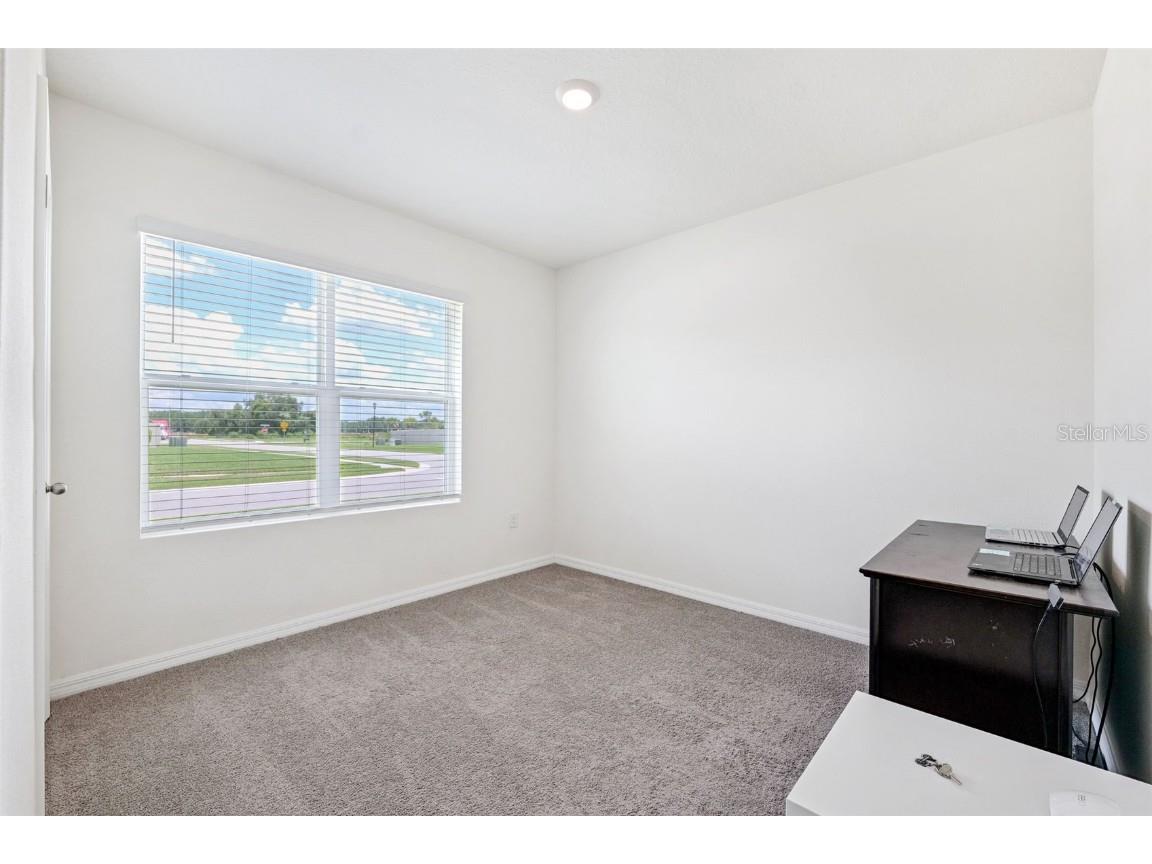 34211 Jasper Stone Drive Wesley Chapel FL 33543 TB8410639 image24