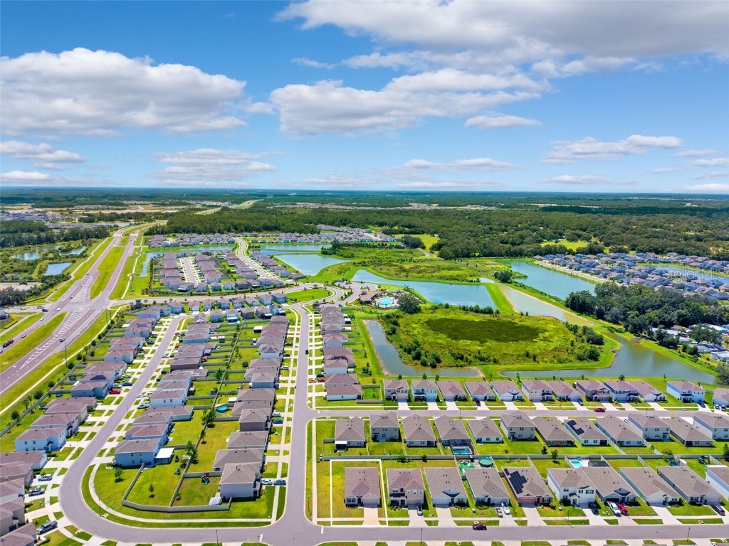 34211 Jasper Stone Drive Wesley Chapel FL 33543 TB8410639 image37