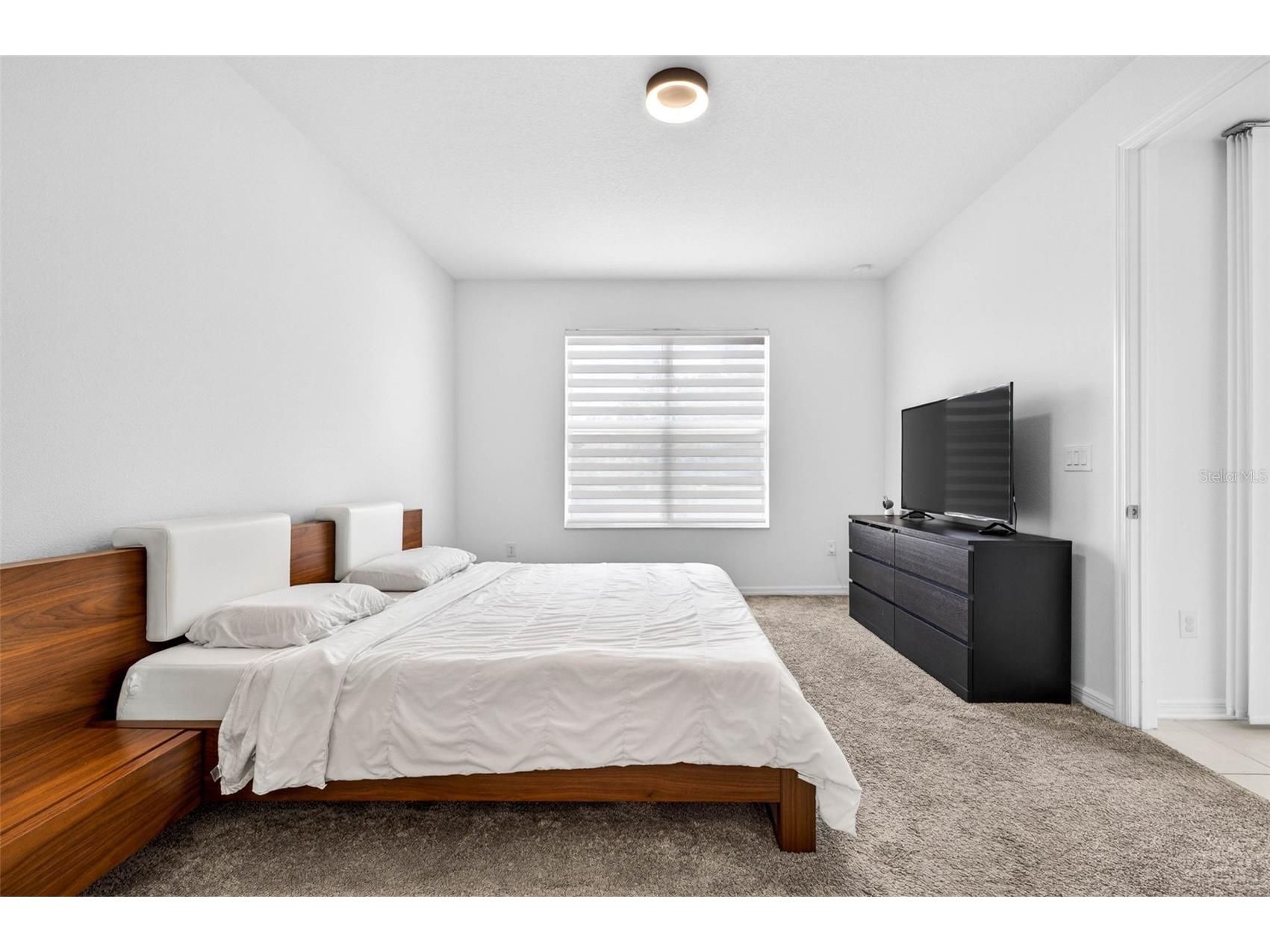34212 Evergreen Hill Wesley Chapel FL 33545 TB8496903 image25