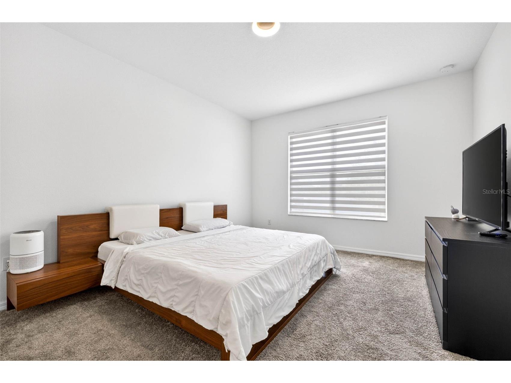 34212 Evergreen Hill Wesley Chapel FL 33545 TB8496903 image26
