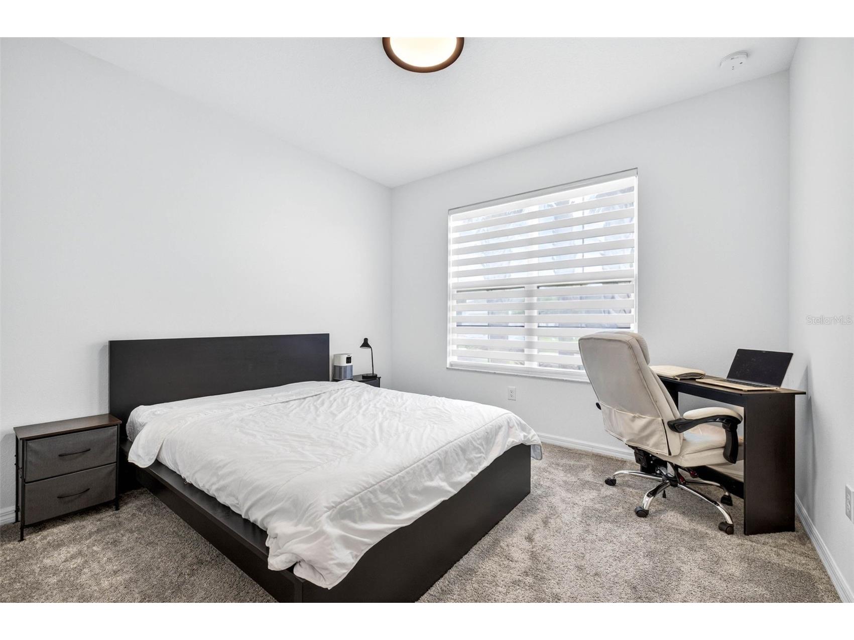34212 Evergreen Hill Wesley Chapel FL 33545 TB8496903 image35