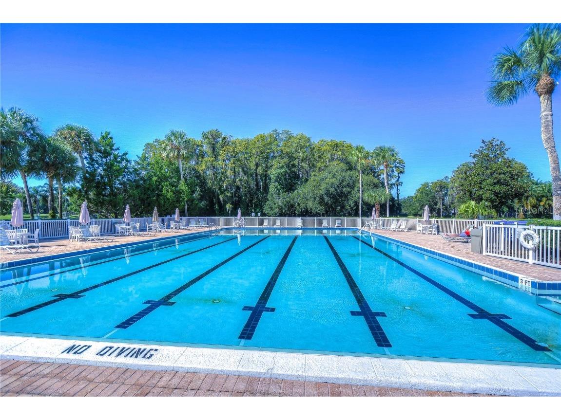 3422 Lori Lane #3422 New Port Richey FL 34655 W7880463 image10