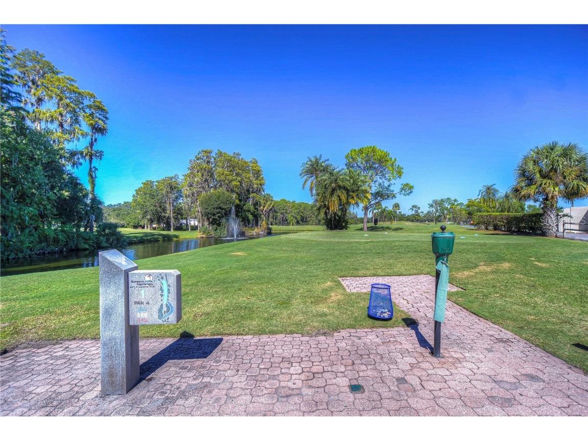 3422 Lori Lane #3422 New Port Richey FL 34655 W7880463 image13