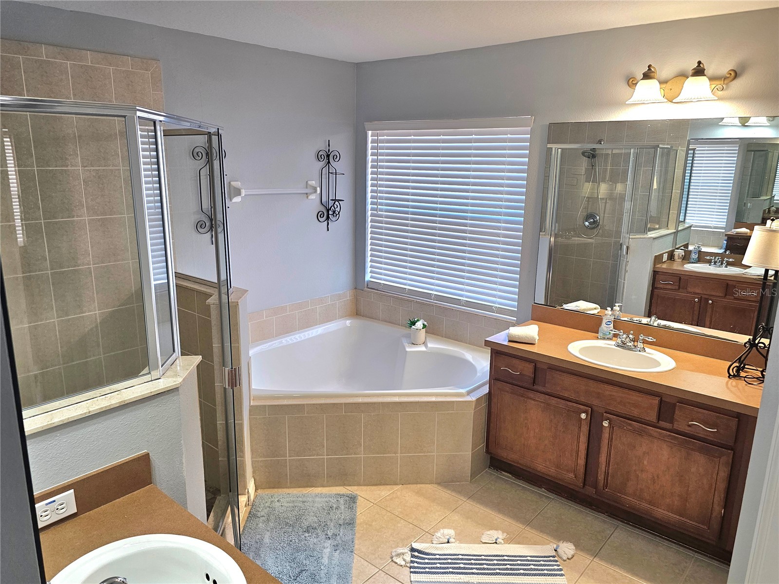 34224 Shadewood Circle Leesburg FL 34788 V4949786 image38
