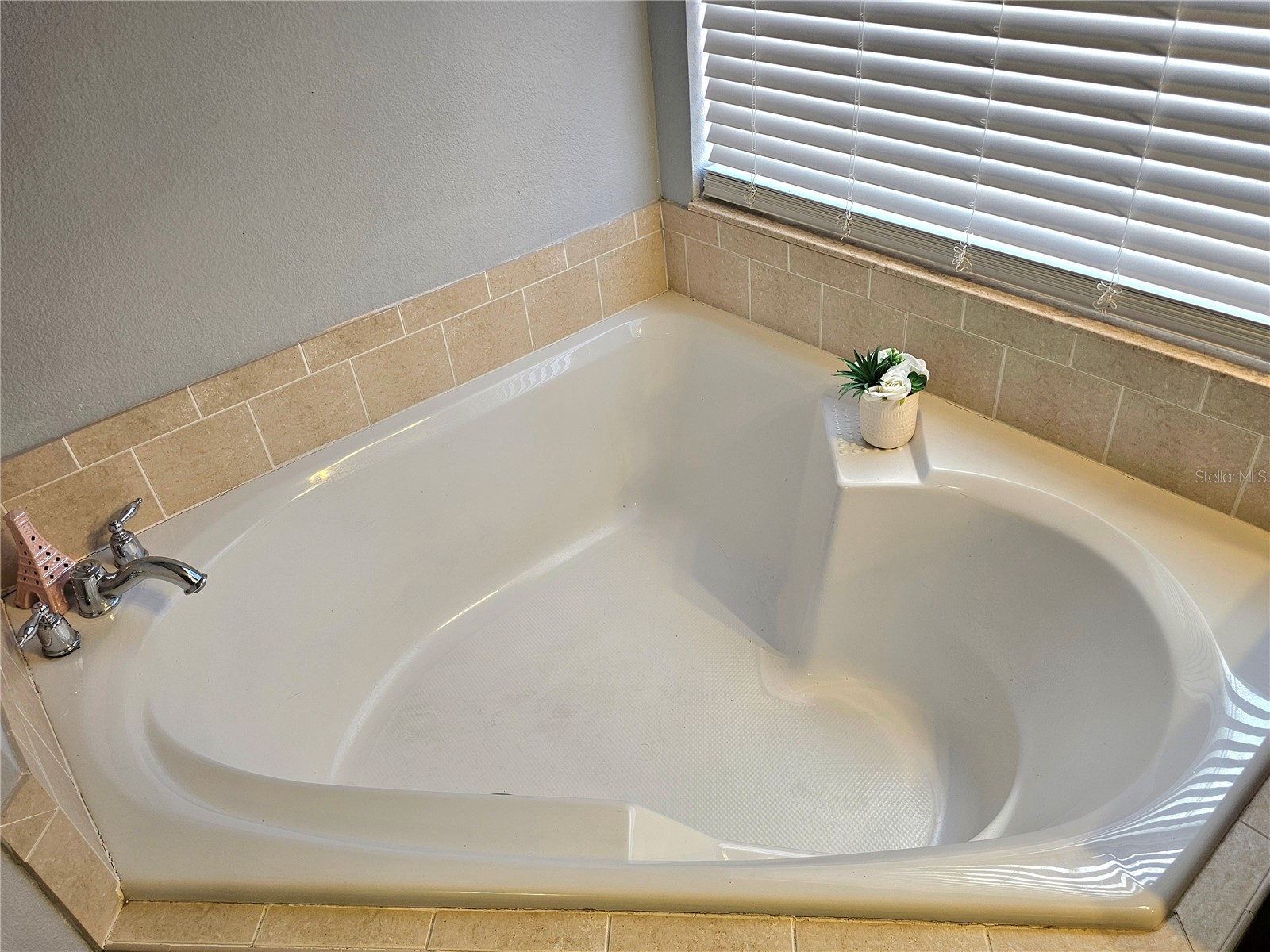 34224 Shadewood Circle Leesburg FL 34788 V4949786 image39