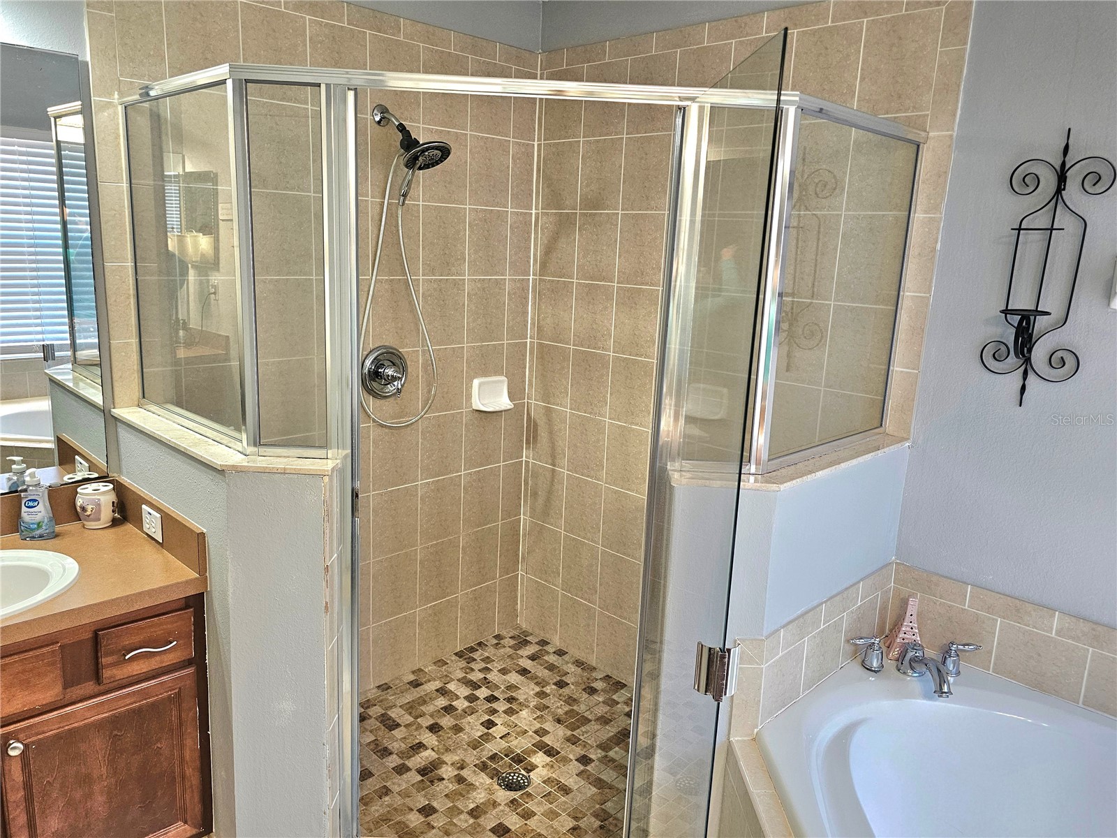 34224 Shadewood Circle Leesburg FL 34788 V4949786 image40