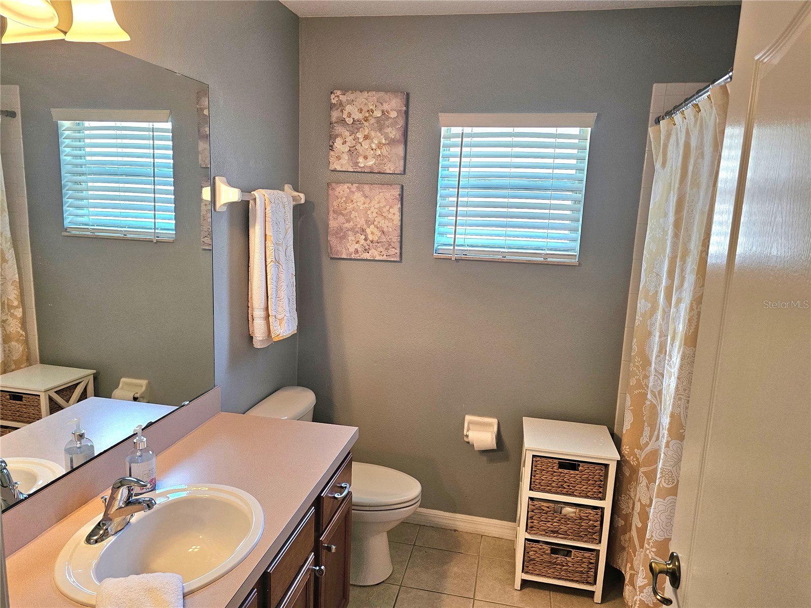 34224 Shadewood Circle Leesburg FL 34788 V4949786 image45