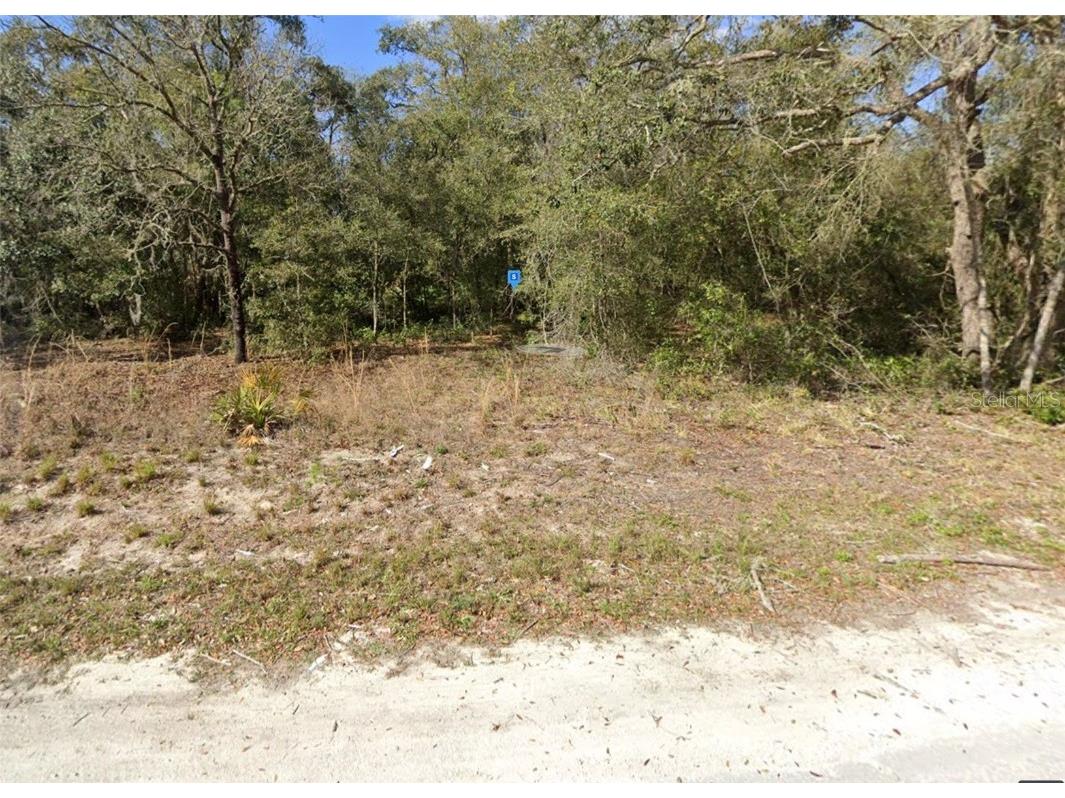 34225 Shaffer Drive Dade City FL 33523 A4641058 image1