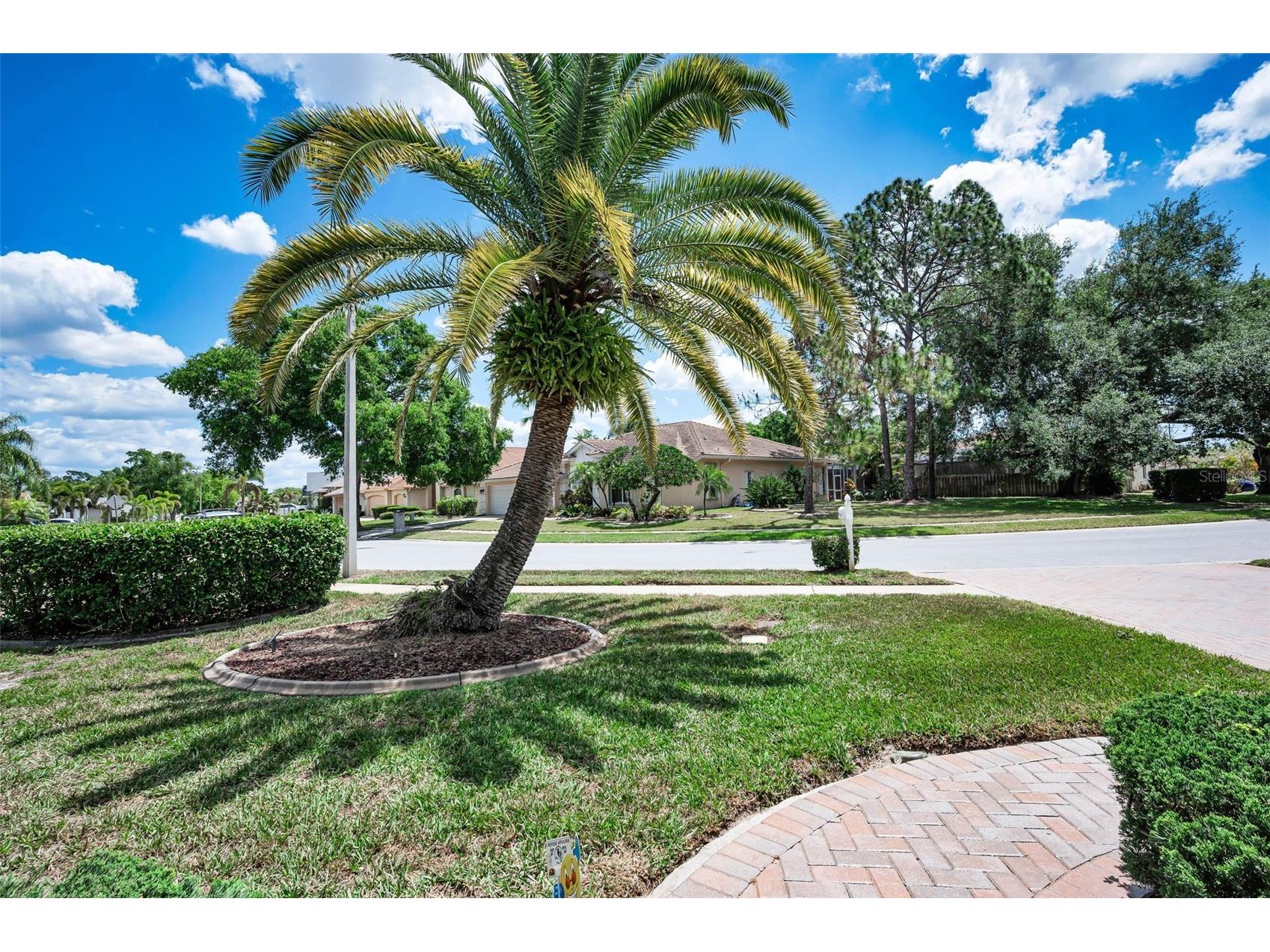 3423 Foxhall Drive Holiday FL 34691 TB8500487 image5