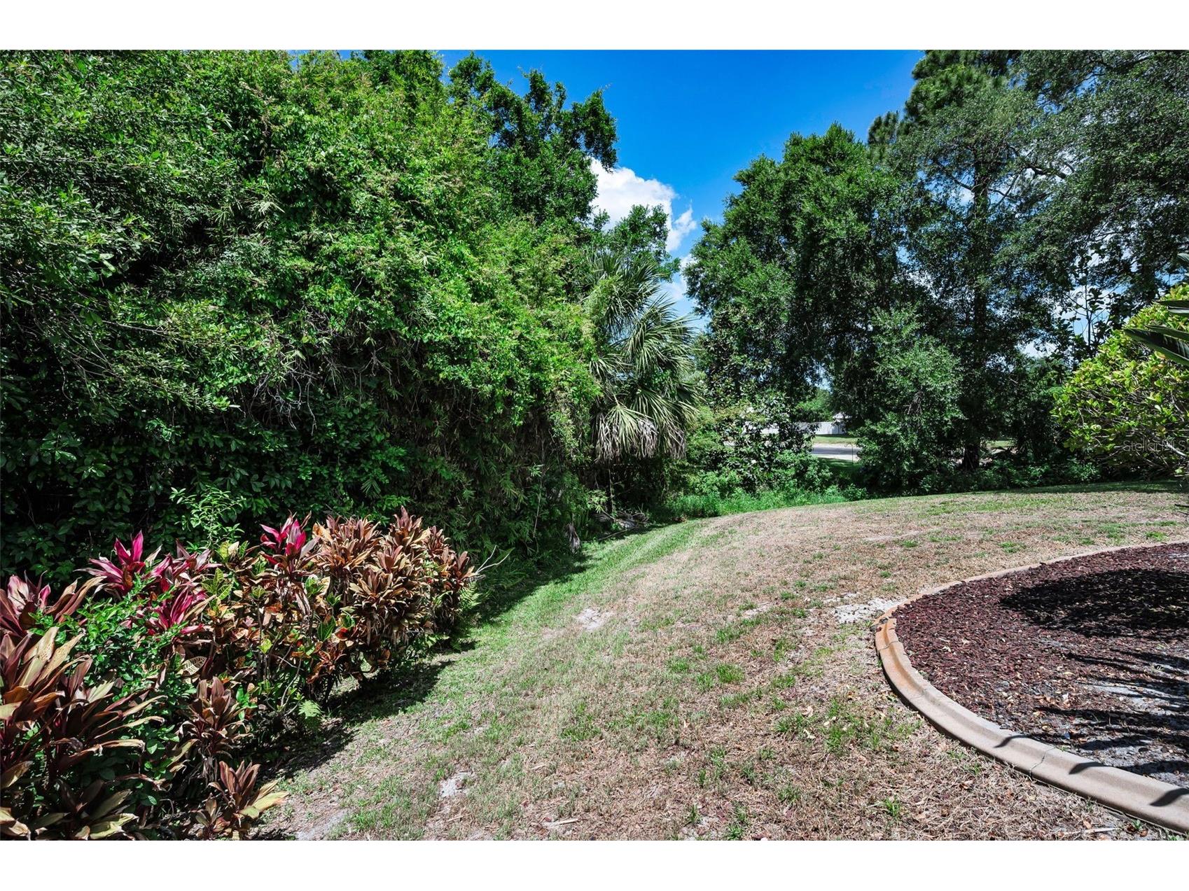 3423 Foxhall Drive Holiday FL 34691 TB8500487 image53