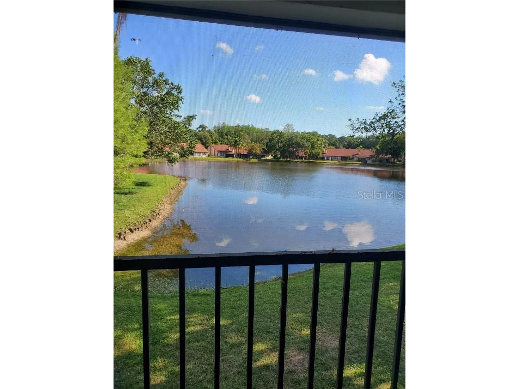 3423 Mermoor Drive #206 Palm Harbor FL 34685 T3435680 image1