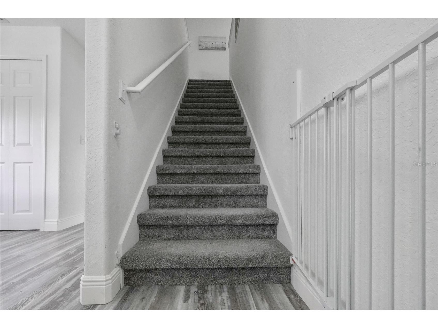 3423 Palometa Drive Hernando Beach FL 34607 W7882272 image13