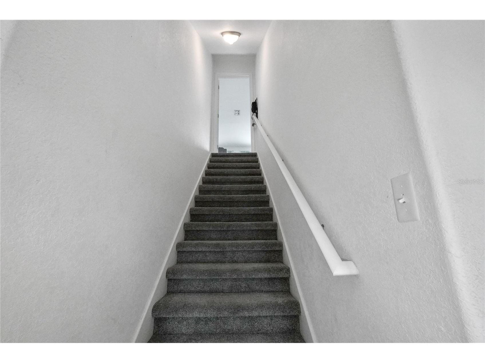 3423 Palometa Drive Hernando Beach FL 34607 W7882272 image3
