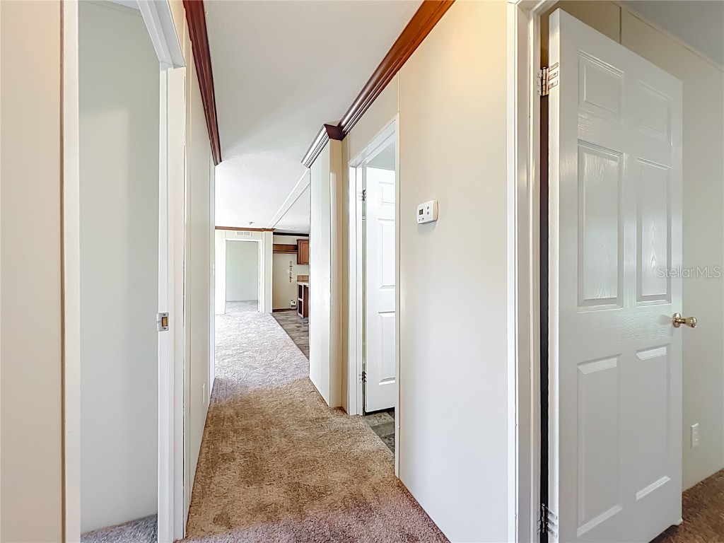 3423 S Alabama Avenue Homosassa FL 34448 OM713709 image43