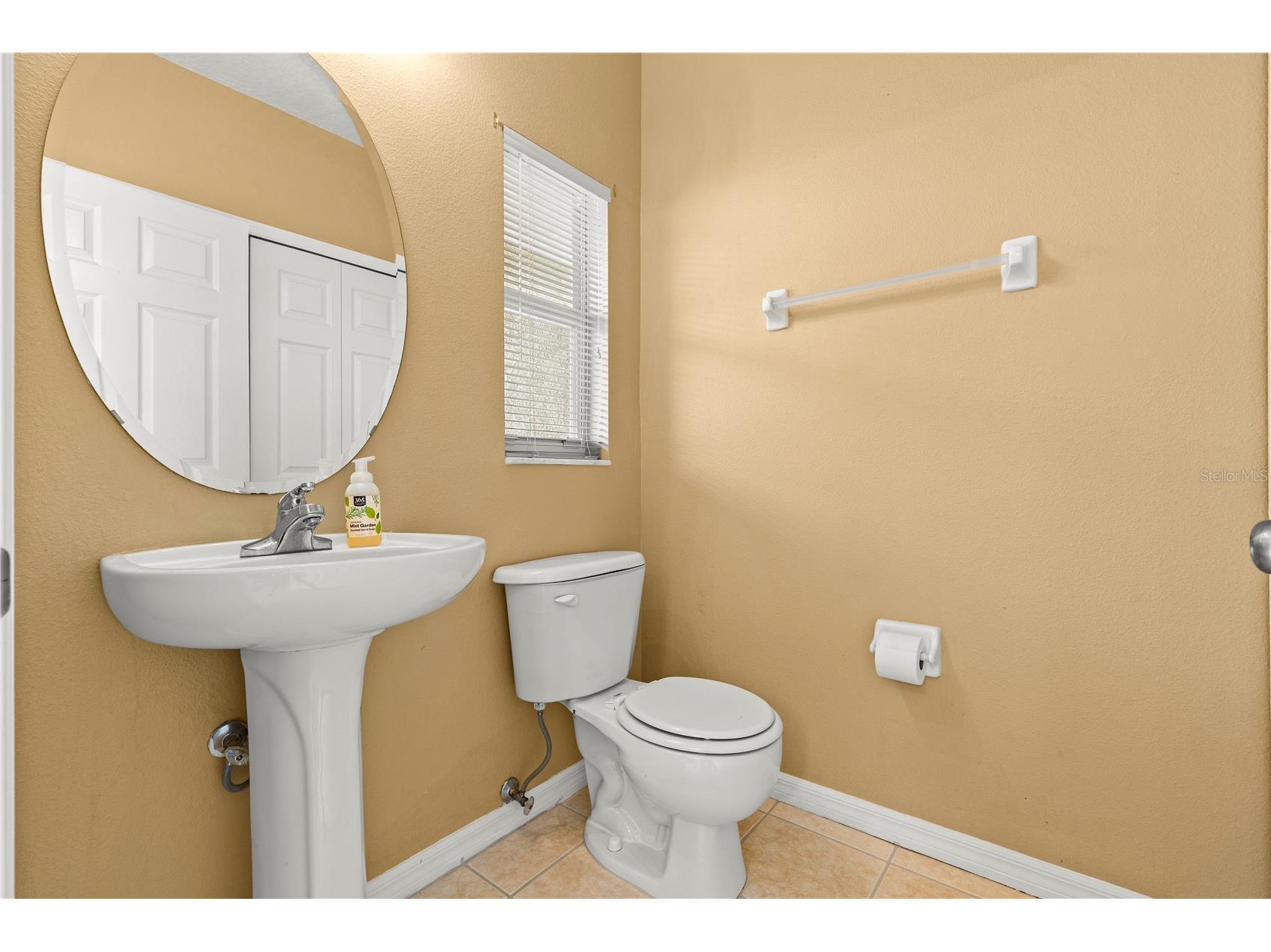 3423 Santa Rita Lane Land O Lakes FL 34639 W7886327 image19