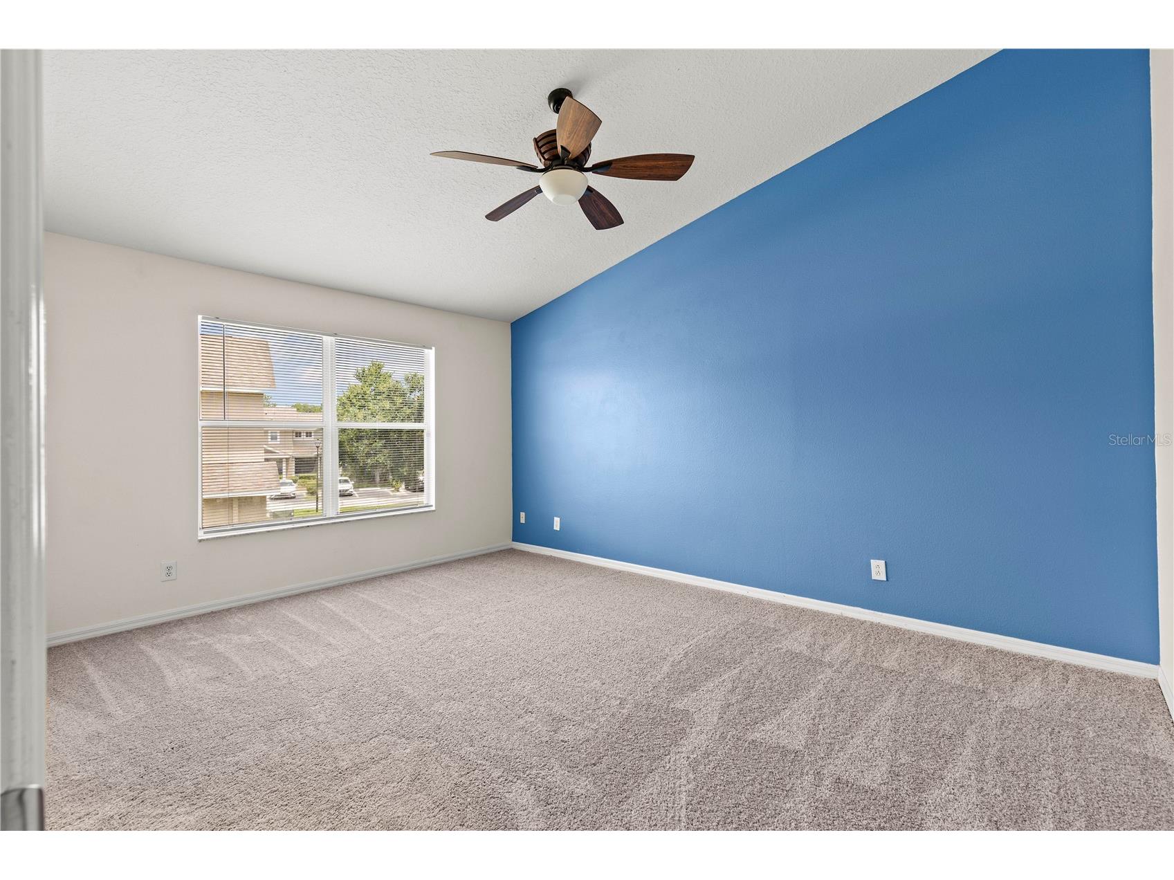 3423 Santa Rita Lane Land O Lakes FL 34639 W7886327 image28