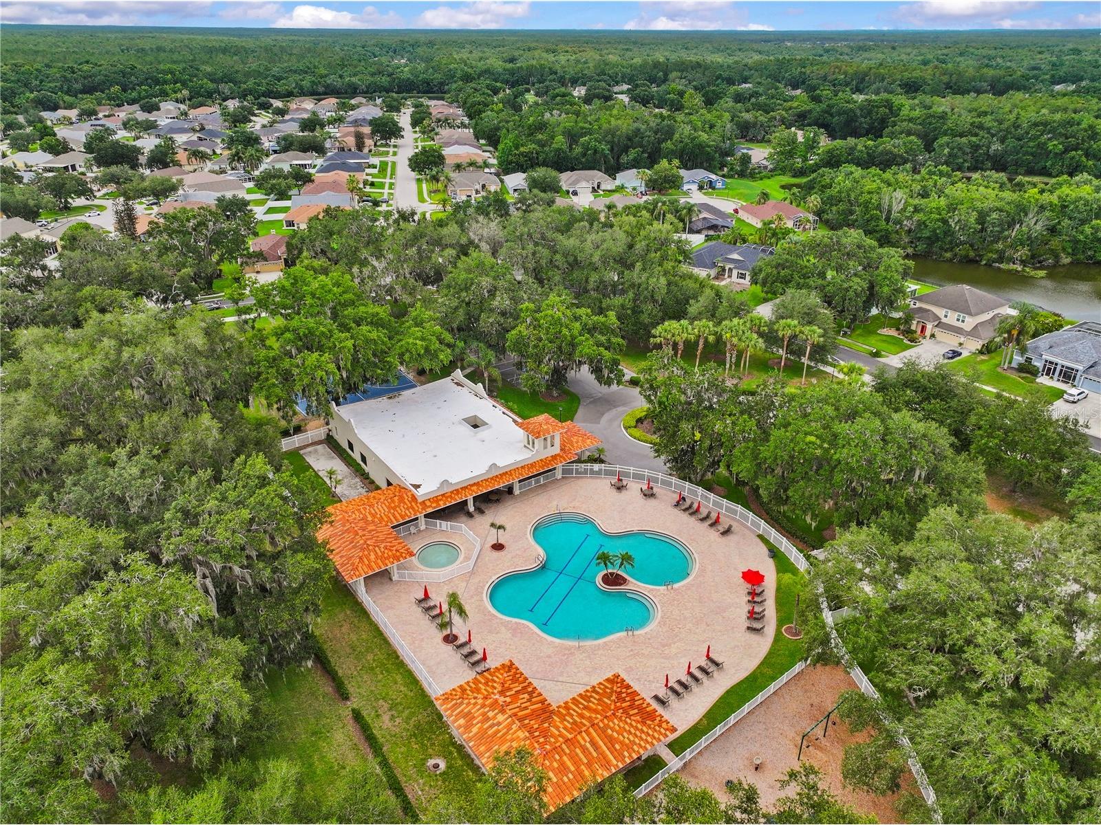 3423 Santa Rita Lane Land O Lakes FL 34639 W7886327 image40