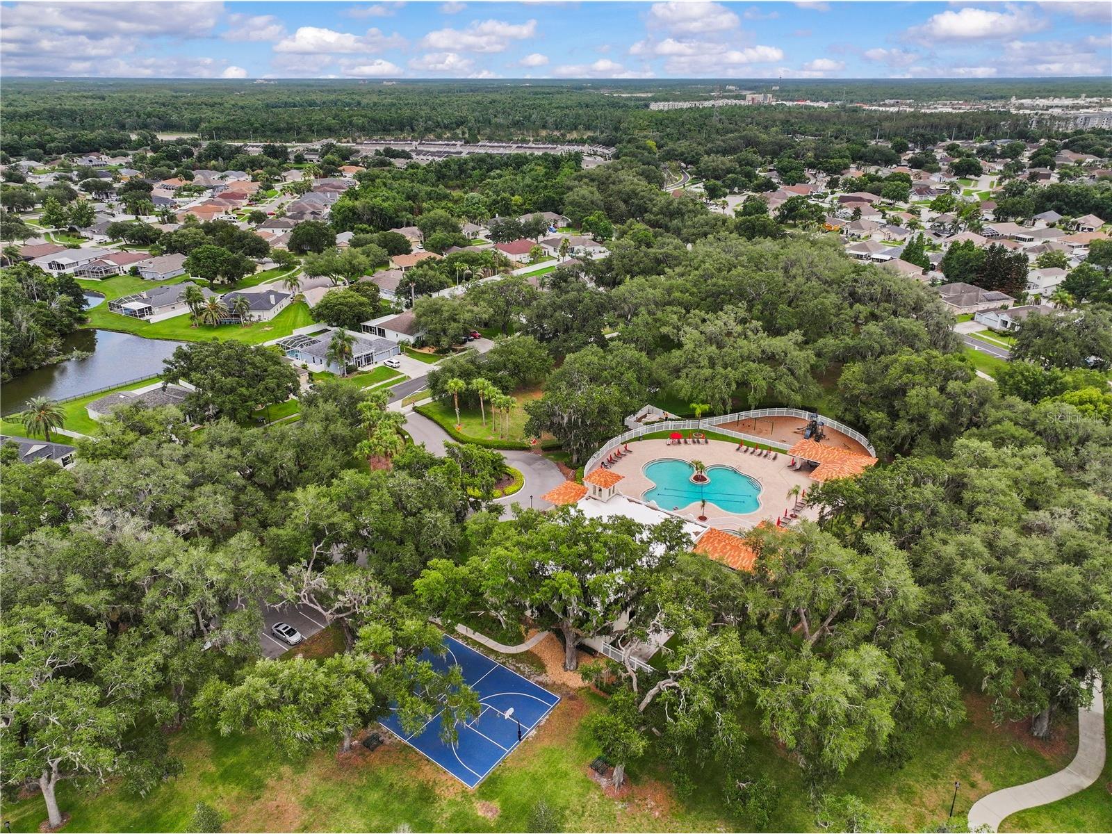 3423 Santa Rita Lane Land O Lakes FL 34639 W7886327 image41