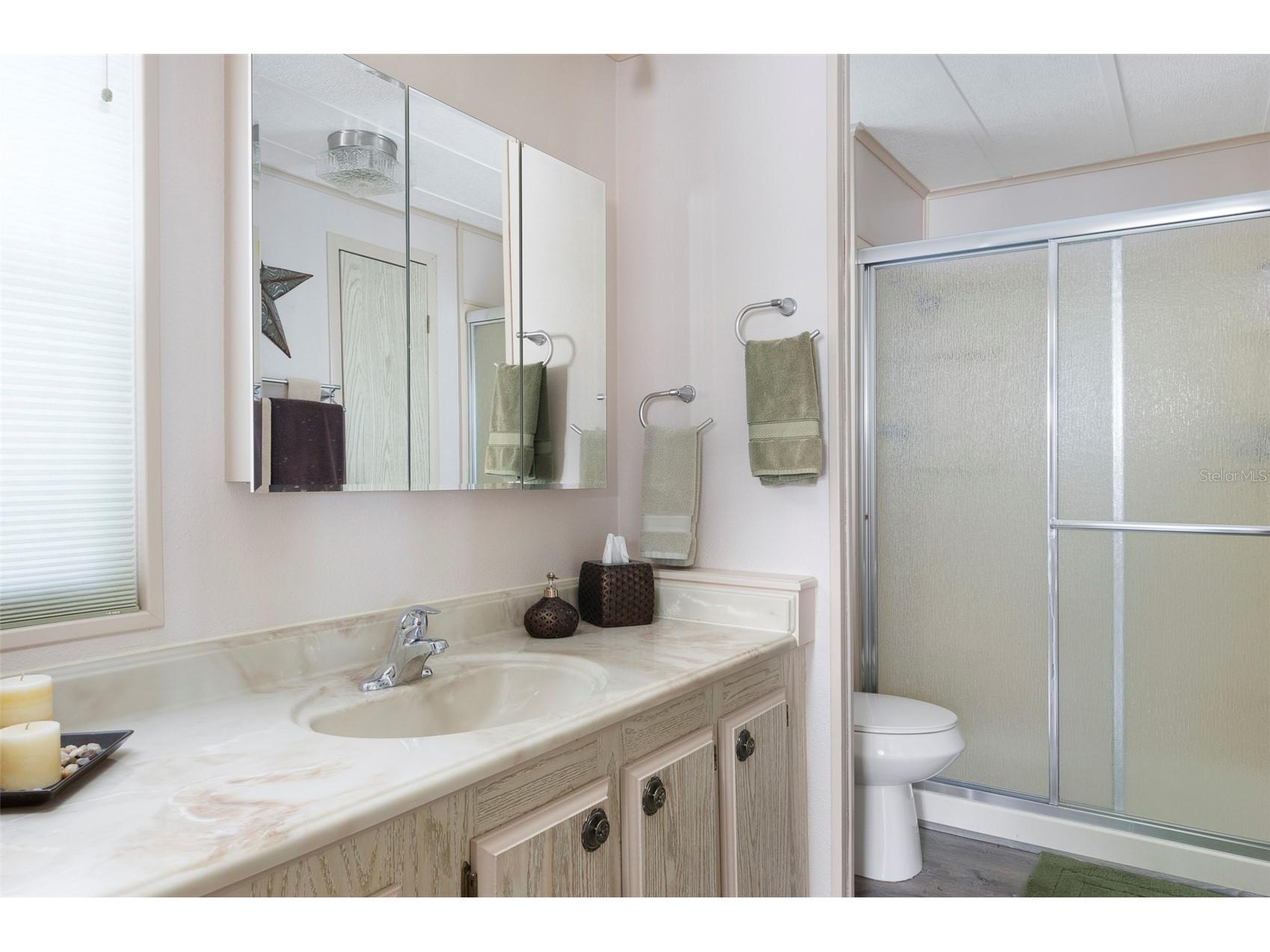 34236 Canal Drive N #236 Pinellas Park FL 33781 TB8488145 image21