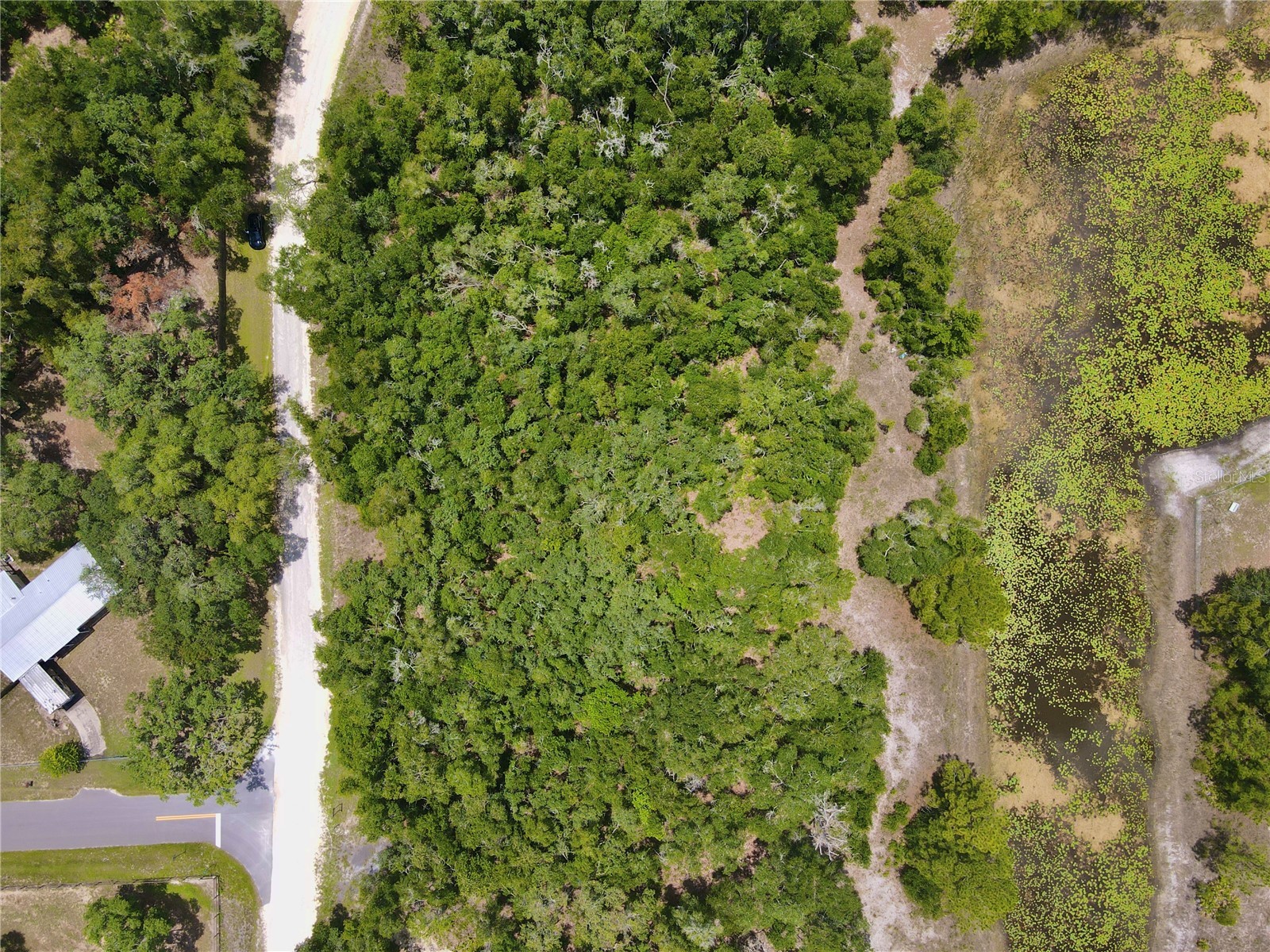 34237 Shaffer Drive Dade City FL 33523 TB8513050 image10
