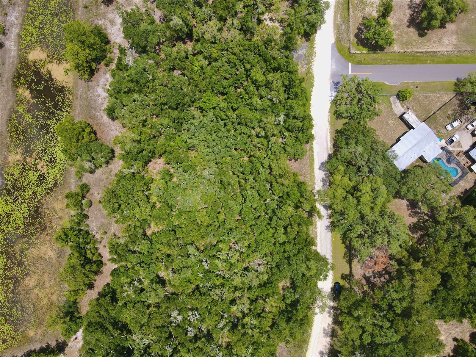 34237 Shaffer Drive Dade City FL 33523 TB8513050 image12