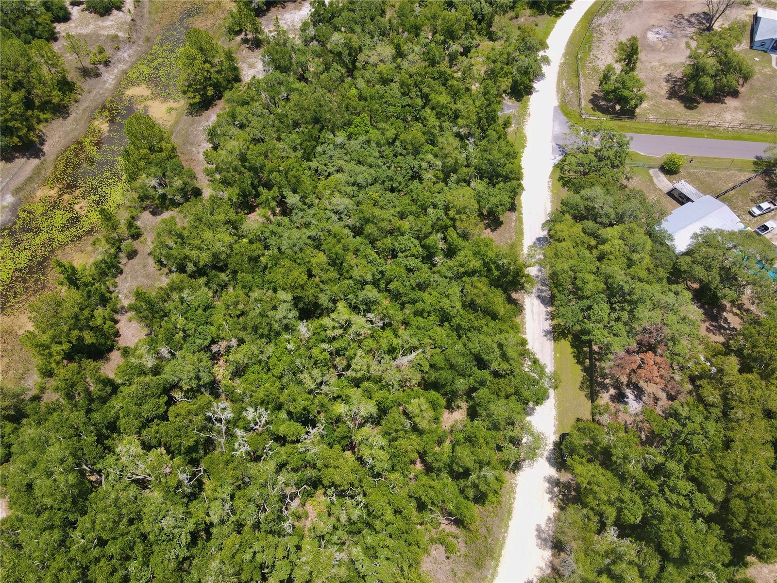 34237 Shaffer Drive Dade City FL 33523 TB8513050 image2