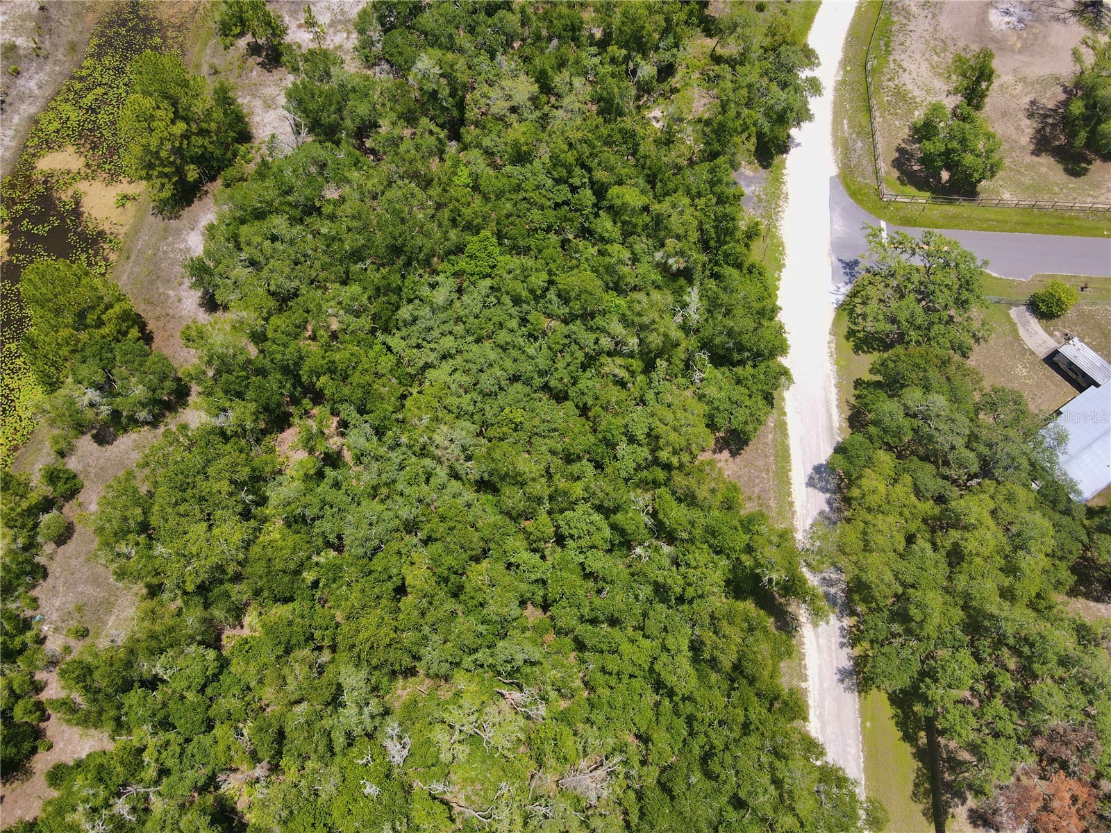 34237 Shaffer Drive Dade City FL 33523 TB8513050 image3