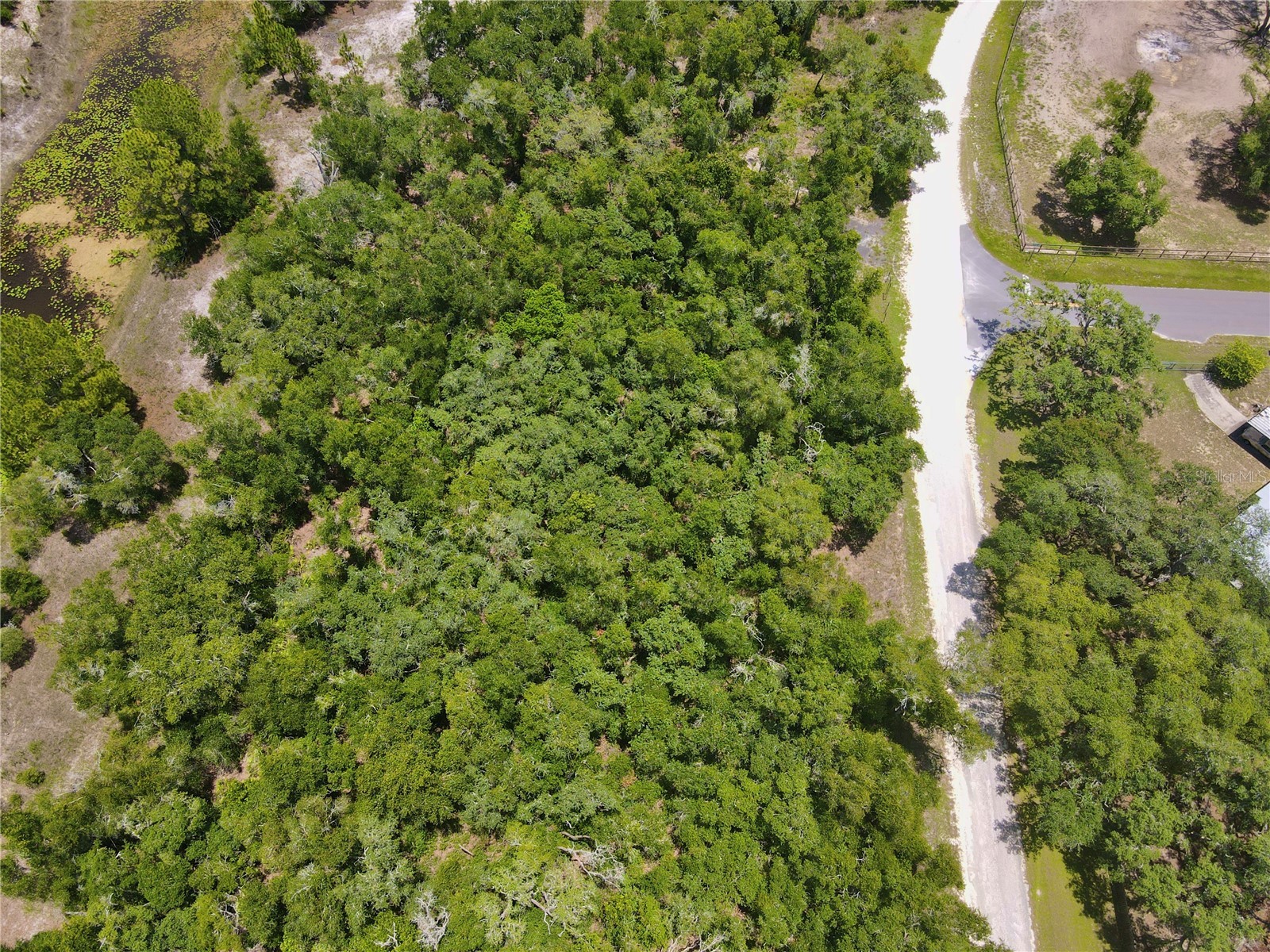 34237 Shaffer Drive Dade City FL 33523 TB8513050 image4