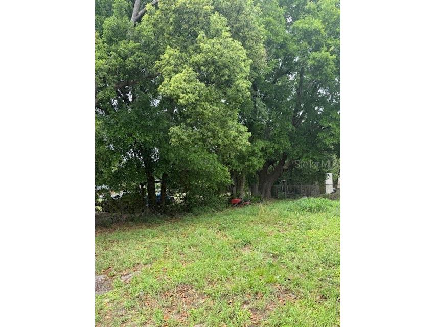3424 Alissa Court Orlando FL 32808 O6398437 image8