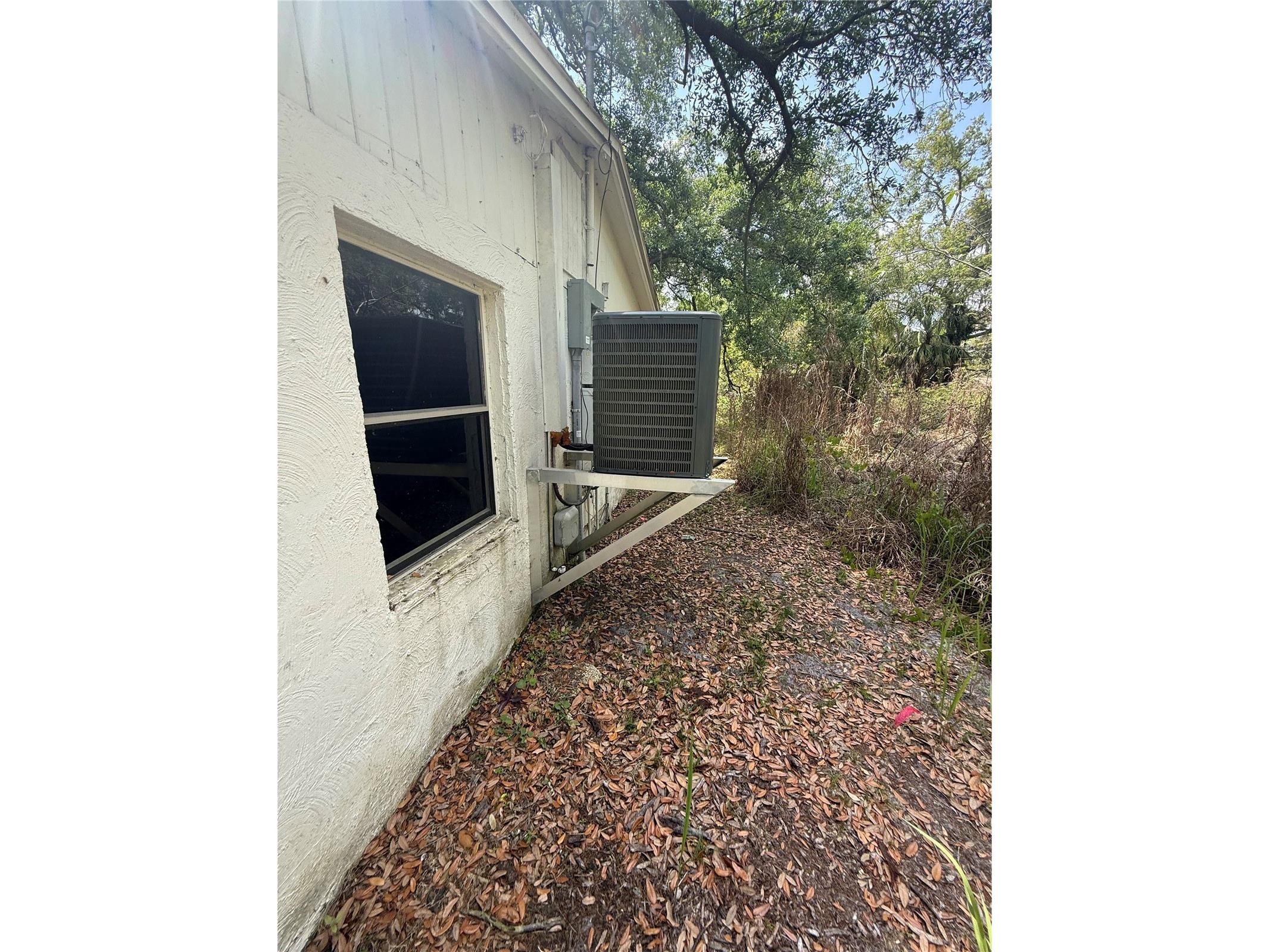 3424 Maze Lane Brandon FL 33511 TB8504399 image10