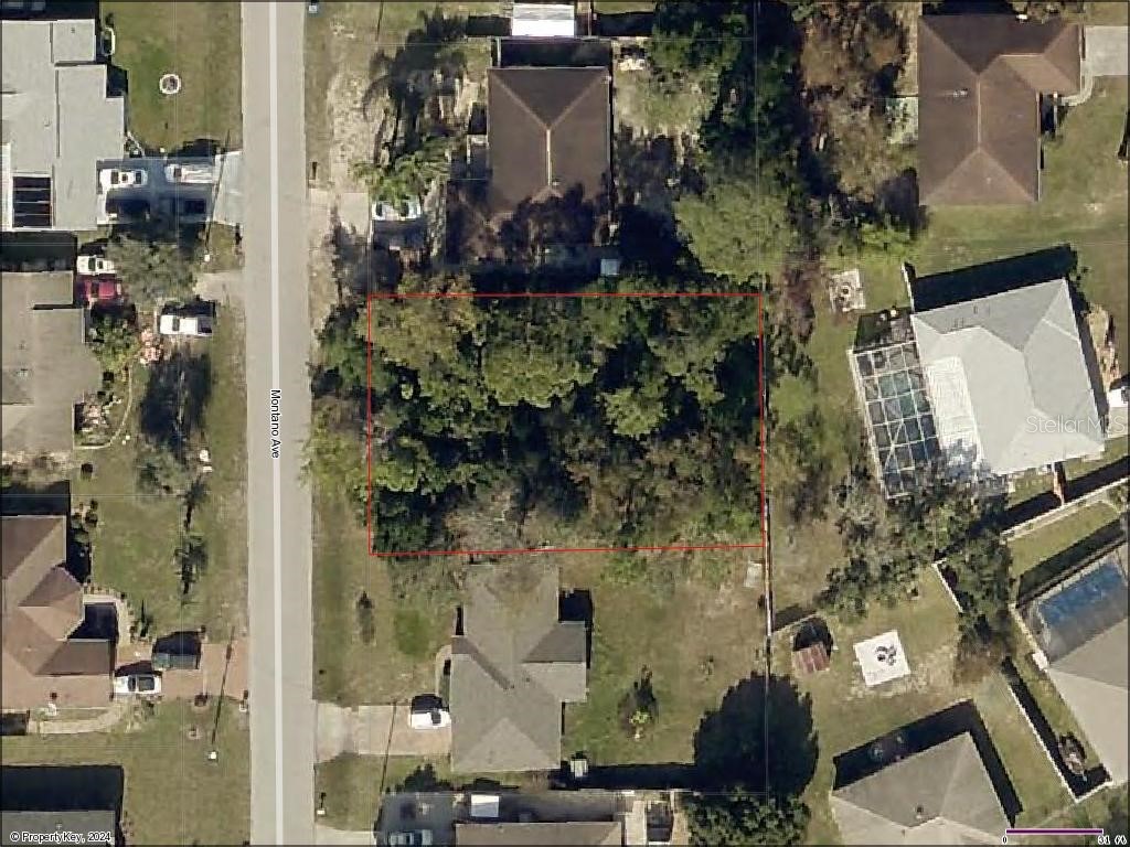 3424 Montano Avenue Spring Hill FL 34609 W7865855 image1