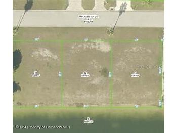 3424 Triggerfish Drive Hernando Beach FL 34607 W7862299 image1